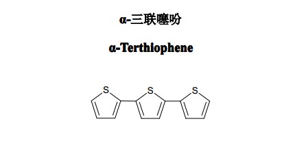 α-三联噻吩（α-Terthiophene）中药化学对照品