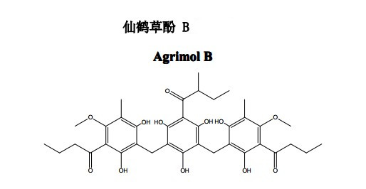仙鹤草酚 B （AgrimolB）中药化学对照品