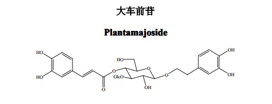 大车前苷(Plantamajoside)中药化学对照品