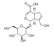 京尼平苷酸对照品