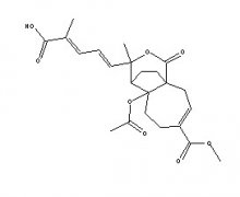 土荆皮乙酸对照品