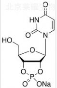Uridine-2’,3’-cyclic Monophosphate Sodium Salt