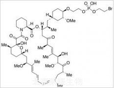 42-O-[2-[[Hydroxy(2-bromoethoxy)phosphinyl]oxy]ethyl] Rapamycin