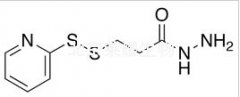 3-(2-Pyridyldithio)propanoic Acid Hydrazide标准品