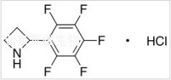 2-(Pentafluorophenyl)azetidine Hydrochloride标准品