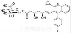 Pitavastatin Acyl Glucuronide