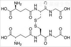 二硫化谷胱甘肽（Glutathione Disulfide）