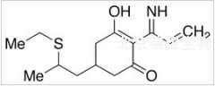 Des[(3-chloro-2-propenyl)oxy]-2-iminoallyl Clethodim