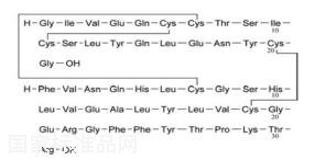B32脱精氨酸（mono-Arg）甘精胰岛素