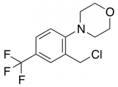 4-[2-(Chloromethyl)-4-(trifluoromethyl)phenyl]morpholine