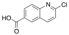 2-Chloroquinoline-6-carboxylic Acid