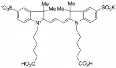 Cyanine 3 Bihexanoic Acid Dye, Potassium Salt