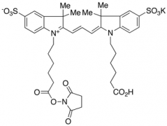 Cyanine 3 Monofunctional Bihexanoic Acid Dye, Monosuccinimidyl Ester, Potassium Salt