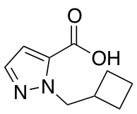 1-(Cyclobutylmethyl)-1H-pyrazole-5-carboxylic Acid