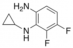 1-N-Cyclopropyl-5,6-difluorobenzene-1,2-diamine