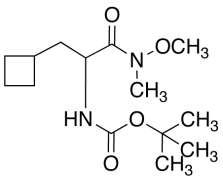 N-[1-(Cyclobutylmethyl)-2-(methoxymethylamino)-2-oxoethyl]-carbamic Acid 1,1-Dimethylethyl