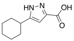3-Cyclohexyl-1H-pyrazole-5-carboxylic Acid