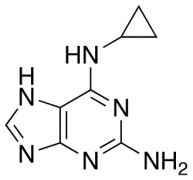 N6-Cyclopropyl-9H-purine-2,6-diamine Methanolate