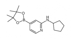 2-(N-Cyclopentylamino)pyridine-4-boronic acid, pinacol ester
