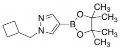 1-(Cyclobutylmethyl)-4-(tetramethyl-1,3,2-dioxaborolan-2-yl)-1H-pyrazole