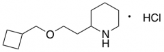 2-[2-(Cyclobutylmethoxy)ethyl]piperidine Hydrochloride