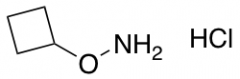 O-cyclobutylhydroxylamine hydrochloride