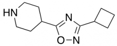 4-(3-cyclobutyl-1,2,4-oxadiazol-5-yl)piperidine