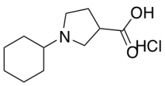 1-cyclohexylpyrrolidine-3-carboxylic acid hydrochloride