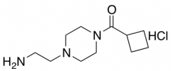 2-(4-cyclobutanecarbonylpiperazin-1-yl)ethan-1-amine hydrochloride