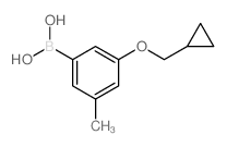 3-(Cyclopropylmethoxy)-5-methylphenylboronic acid