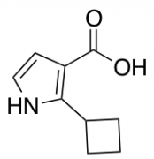 2-cyclobutyl-1H-pyrrole-3-carboxylic acid