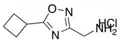 [(5-cyclobutyl-1,2,4-oxadiazol-3-yl)methyl]amine hydrochloride