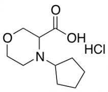 4-cyclopentylmorpholine-3-carboxylic acid hydrochloride