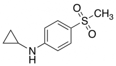 Cyclopropyl-(4-methanesulfonyl-phenyl)-amine