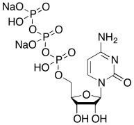 Cytidine-5'-triphosphoric Acid Disodium Salt