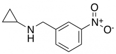 Cyclopropyl-(3-nitro-benzyl)-amine
