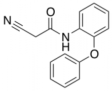 2-Cyano-N-(2-Phenoxyphenyl)Acetamide