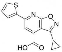 3-Cyclopropyl-6-(Thiophen-2-Yl)-[1,2]Oxazolo[5,4-B]Pyridine-4-Carboxylic Acid