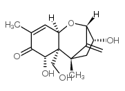 Deepoxydeoxynivalenol