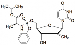 2&rsquo;-Defluro-2&rsquo;-methylene Sofosbuvir