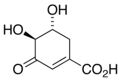 (-)-3-Dehydro Shikimic Acid