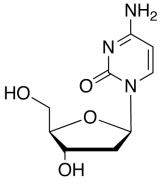 2&rsquo;-Deoxy Cytidine