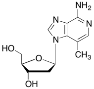 3-Deaza-3-methyl-2&rsquo;-deoxyadenosine