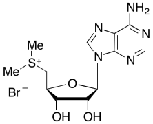 5&rsquo;-Deoxy-5&rsquo;-(dimethylsulfonio)adenosine Bromide