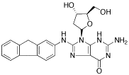 2&rsquo;-Deoxy-8-(9H-fluoren-2-ylamino)-guanosine