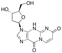 3-(2-Deoxy-&beta;-D-erythro-pentofuranosyl)-3,5-dihydropyrimido[1,2-a]purine-6,10-dion