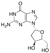 2'-Deoxyguanosine