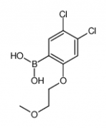 4,5-Dichloro-2-(2-methoxyethoxy)phenylboronic acid