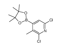 2,6-Dichloro-3-methylpyridine-4-boronic Acid Pinacol Ester