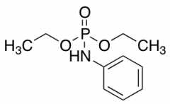 N-(Diethoxyphosphoryl)aniline
